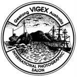 VIGEX