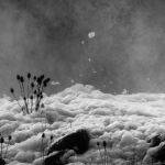 Amongst the Foam (Steve Demeye) Highly Commended