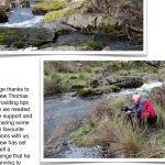 Andrew Thomas Landscape Outing Page 3