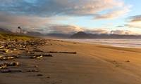 Haast Beach (Jill Wharton) 2nd Place