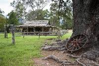 2nd Place Harry's Smith Hut Betty BIbby