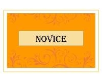 Novice Print  2013 Annual Awards