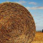 Big Bale (Hugh Lees)