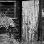 Colac Shed by Murray McEachern