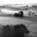 Fields of silver by Trevor Parry 3rd Place