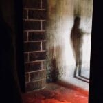 Is Anyone  There? by Christine Thompson 1st Place Roger Purcell Trophy