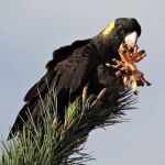 Snack Time by Christine Thompson 3rd Place