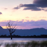 Evening Breeze by Murray McEachern
