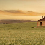 Midnight Oil House by Anne Carroll 2nd Place Judy Johnson Award