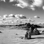 Pinnacles,Cervantes by Betty Bibby