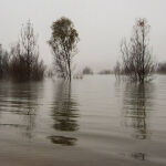 Foggy Morning at Lake Eildon  Trevor Bibby Highly Commende