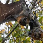 It takes two to tango by Carol Hall Highly Commended