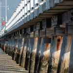 The Long Jetty by Carol Hall