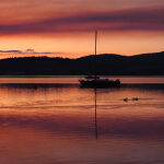 At Anchor by Anne Wilson