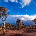 Kalgoorlie Storm by Betty Bibby 1st Place