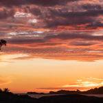 Sunrise Bay of Fires by Carol Hall 3rd Place