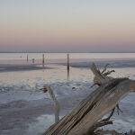 Lake Tyrrell Sunset by Murray McEachern