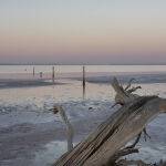 Lake Tyrrell Sunset by Murray McEachern