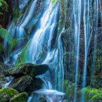 Ferntree Falls by Frank Carroll