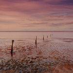 Lake Tyrell fence line by Trevor Bibby 3rd Place