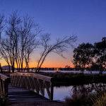 Across the Bridge by Mark Bevelander