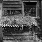 Colac Shed by Murray McEachern Score 13