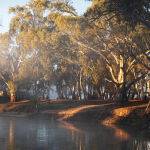 Mist on the River by Murray McEachern Score 13