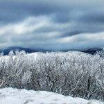 Mt Pinnibar by Judy McEachern Score 13