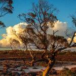 On the edge of the salt by Trevor Bibby Score 13