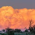 Orange Cloud by Trevor Bibby