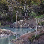 A Winding River by Trevor Bibby