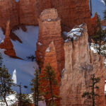 Bryce Canyon by Carol Hall 3rd Place