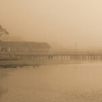 Barwon in Fog by Anne Wilson 2nd Place
