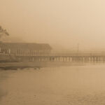 Barwon in Fog by Anne Wilson 2nd Place