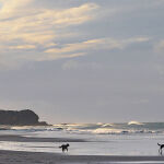 A Winter walk on the beach by Mark Bevelander Highly Commended