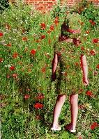 Girl among the Poppies (Roger Lancaster) Merit