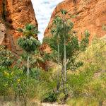 El Questro Gorge by Trevor Bibby