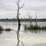 Evening by the Lake by Murray McEachern Scored 11 Highly Commended