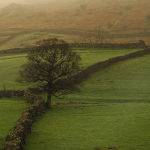 Fence in the Fog by Murray McEachern Highly Commended