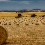 Haybales (Brett Keating)