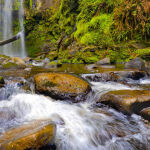 Hopetoun Falls by Frank Carroll