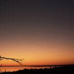 Lake Tyrrell by Judy McEachern