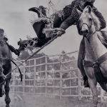 Leap of Faith by Mark Vivian (Reserve Champion Print )