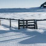 Lonely Barn (Carol Hall)