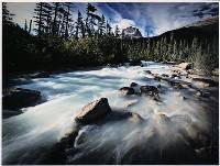 Minor Rapids, Bow River - Peter Dwyer : Merit