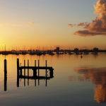 Mothers Day St Kilda ( Henrietta Camilleri) Highly Commended