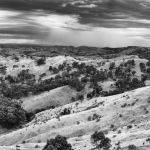 Murchison Gap - Trevor Bibby