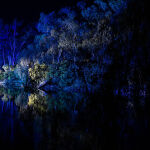 Murray River Lights by Murray Mc Eachern