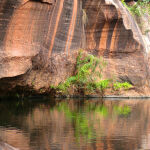 Outback Colour by Teresa Bates