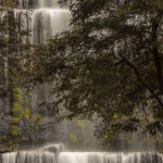 Russel Falls byFrank Carroll